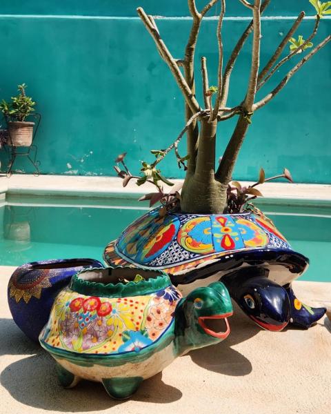 Pool, garden and colonial charm!の写真4