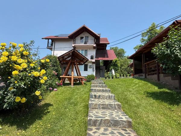 På billedet ses objektet Casa Silvia beliggende i byen Căpăţîneni-Ungureni.