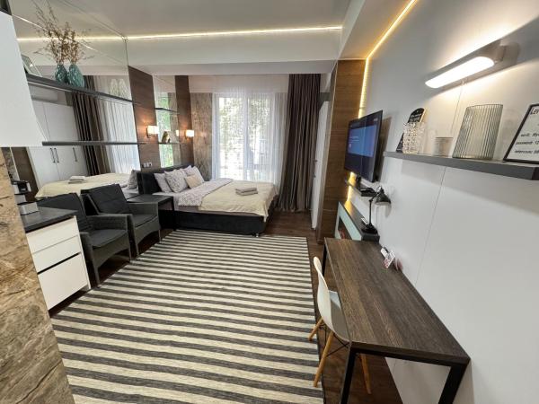 A la foto es mostra l'objecte Luxury Studio in the Center situat a la ciutat de Chisinau.