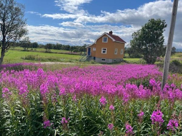 Op de foto is het object Bogstrand, Dverbergveien 11, 8485 Dverberg te zien, gelegen in de stad Dverberg.