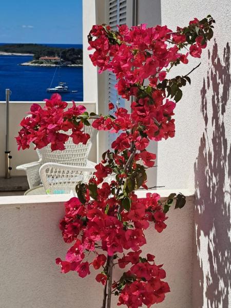 A la foto es mostra l'objecte Sea view situat a la ciutat de Hvar.