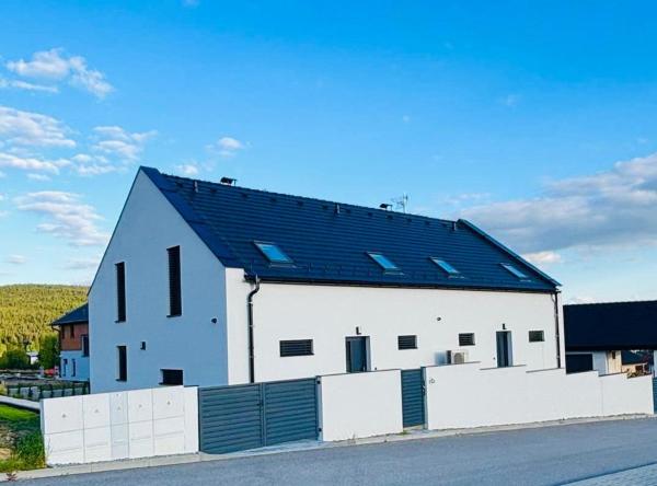 Apartmán Frymburk 561 - Lipno - Czech Republic