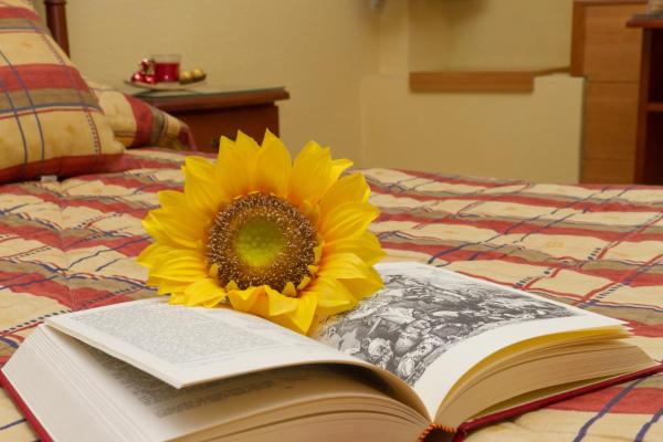 Hostal Siete Picos - El Espinar