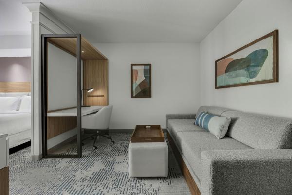 Springhill Suites By Marriott Jacksonville North I-95 Area - Jacksonville