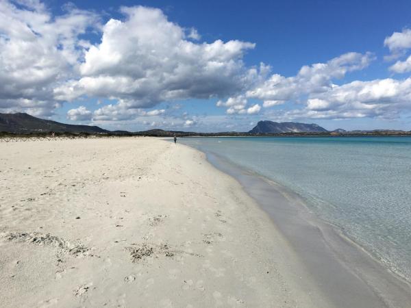Na zdjęciu widoczny jest obiekt Casa Pamela - Villa con piscina - San Teodoro położony w mieście Schifoni.