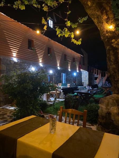 A la foto es mostra l'objecte Guesthouse Bec Villi situat a la ciutat de Theth.