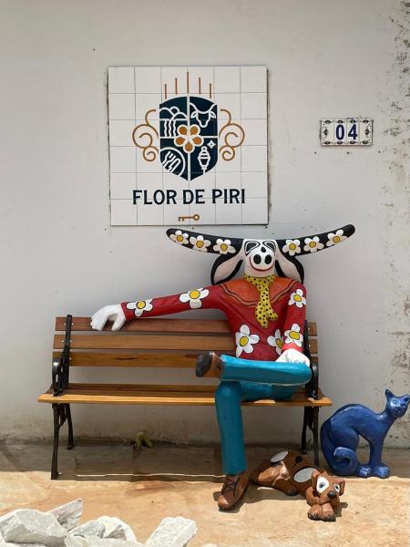 A la foto es mostra l'objecte Pousada Flor de Piri situat a la ciutat de Pirenópolis.