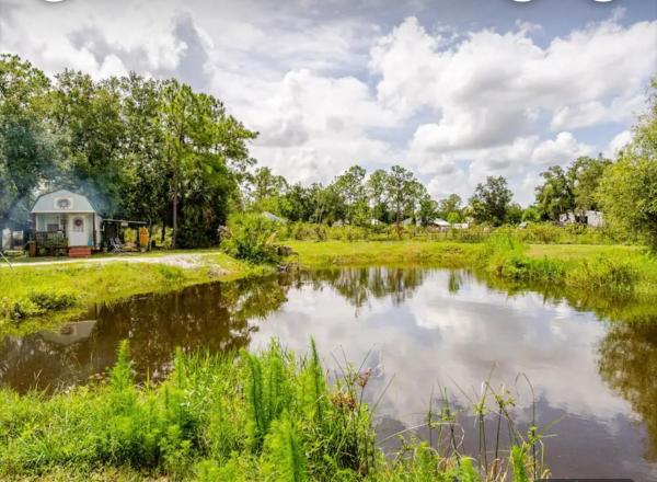 Billede 2: Tiny House surrounded by Florida farm beauty