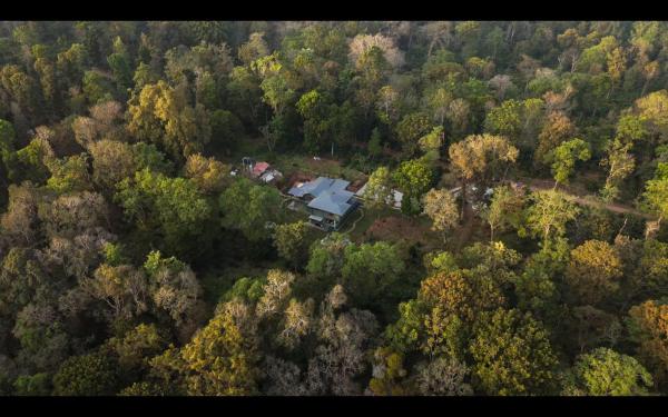 Op de foto is het object Coorg Wild Walk, Nagarhole - A CGH Earth SAHA Experience te zien, gelegen in de stad Kutta.