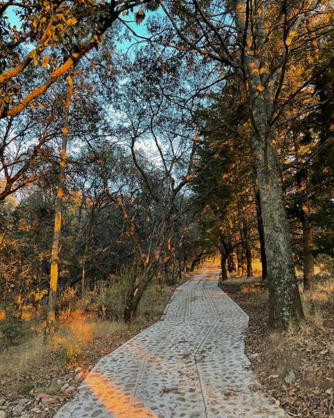 På bildet vises objektet Rancho los Olivos Amealco som ligger i byen Coroneo.