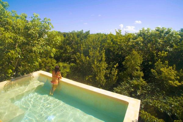 Na zdjęciu widoczny jest obiekt Casa Hibiscus Sky-high pool with birds above the jungle położony w mieście Tulum.