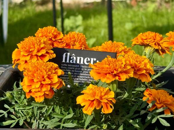 Flâneur - 할키디키