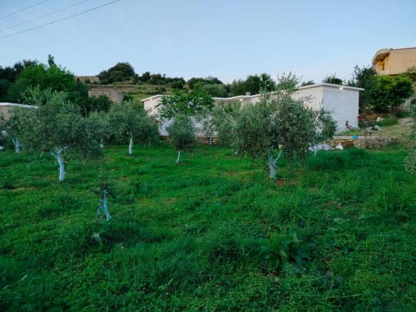 Na zdjęciu widoczny jest obiekt Shtëpia Balilaj położony w mieście Bashaj.