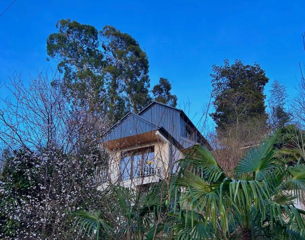 Na zdjęciu widoczny jest obiekt Villa Paradise położony w mieście Tsikhisdziri.