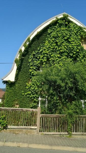 Green Point - 25 min to the center by tram, Прага