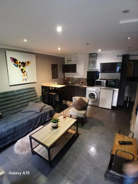 A la foto es mostra l'objecte Studio cosy - tout équipé situat a la ciutat de Belgentier.