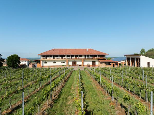 A la foto es mostra l'objecte Ebner Pince - Panzió situat a la ciutat de Kispeterd.