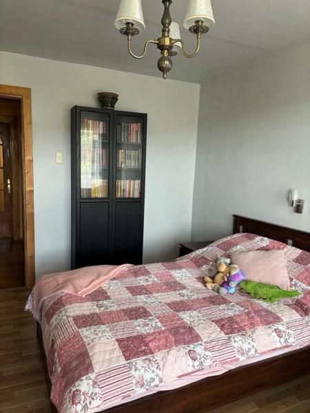 Na fotografii je vidět objekt Ramybės kotedžas nacházející se ve městě Virbališkiai.