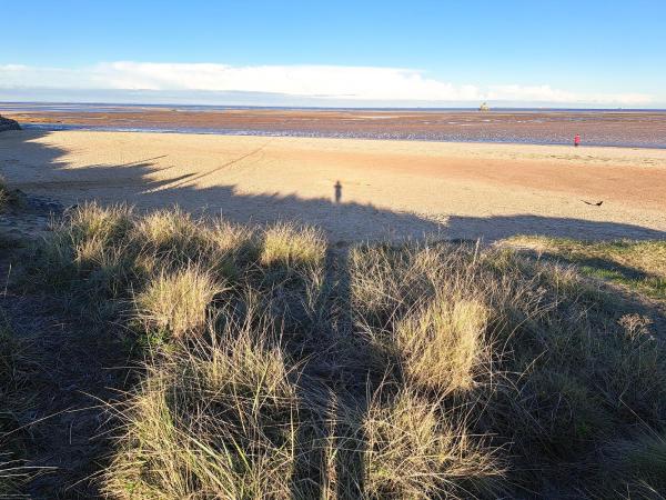 Billede 9: Beach & Tonic