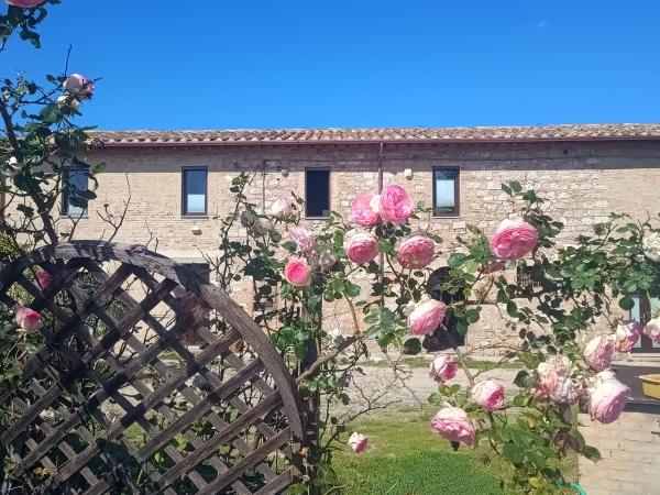 På billedet ses objektet Casale Il Cantico della Tenerezza beliggende i byen Assisi.