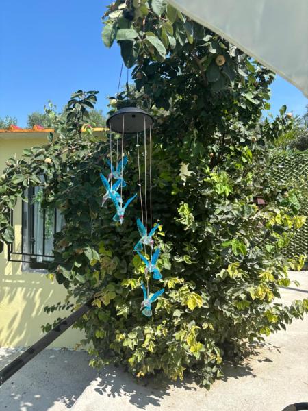 Foto 7: ΚΛΕΟΠΑΤΡΑ