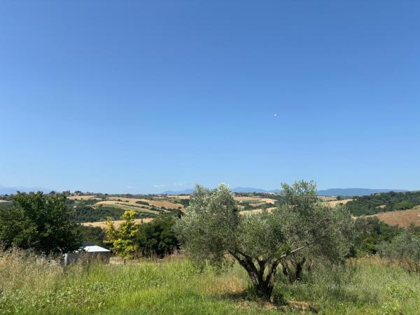 Foto 8: ΚΛΕΟΠΑΤΡΑ