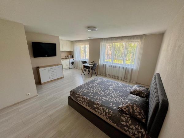 På billedet ses objektet Daugavpils Central apartment ARELIJA beliggende i byen Daugavpils.