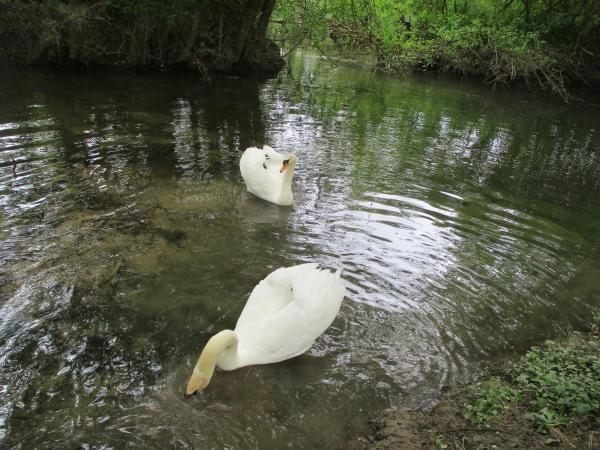 På billedet ses objektet à coté d'angouleme beliggende i byen Roullet.