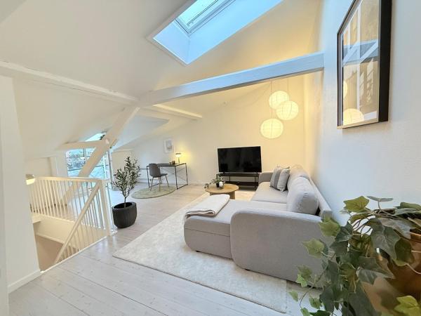 A la foto es mostra l'objecte Spacious Pearl in Viborg Centre situat a la ciutat de Viborg.