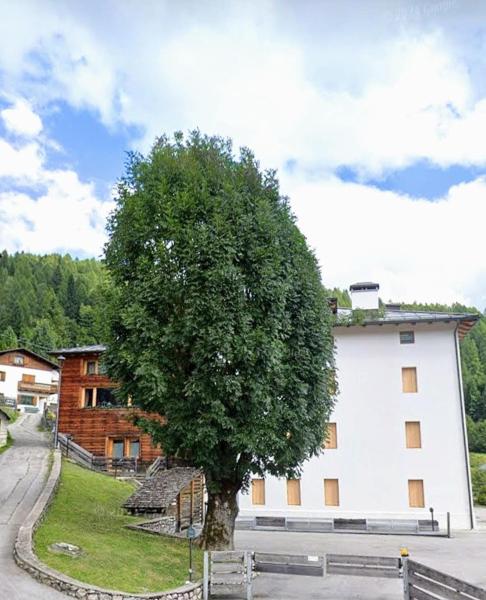 Auf dem Foto ist das Objekt Beautiful apartment in Zoldo Alto Dolomites in der Stadt Pianaz zu sehen.