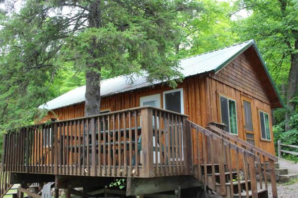 På bildet vises objektet Cabin 8 - A newly remodeled with shaded deck on the lakeshore som ligger i byen Deer River.