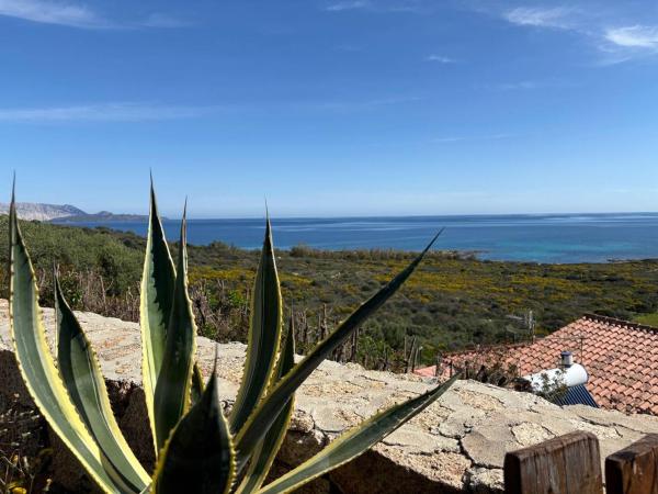 Affittasardegna- Casa Costa - San Teodoro