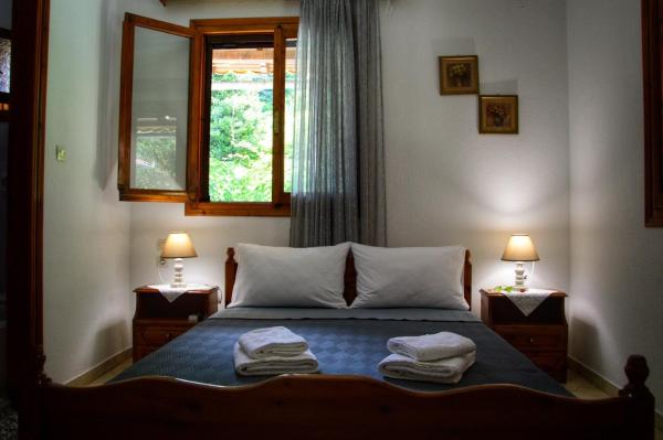 Foto 4: Λευκή Καμέλια
