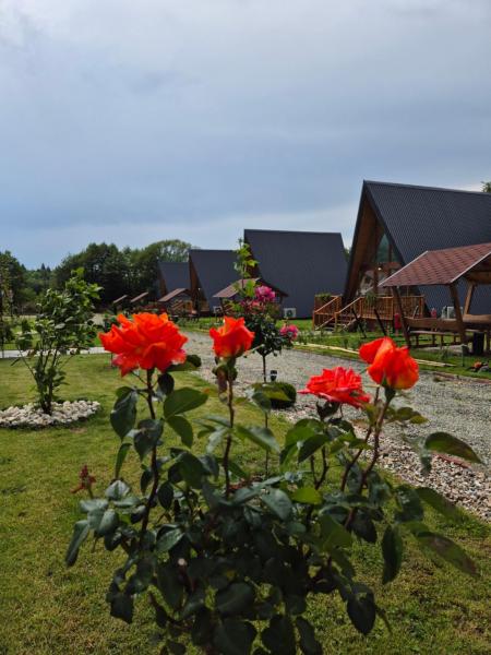 A la foto es mostra l'objecte Doka Valea Sebesului A-Frame situat a la ciutat de Mărgineni.