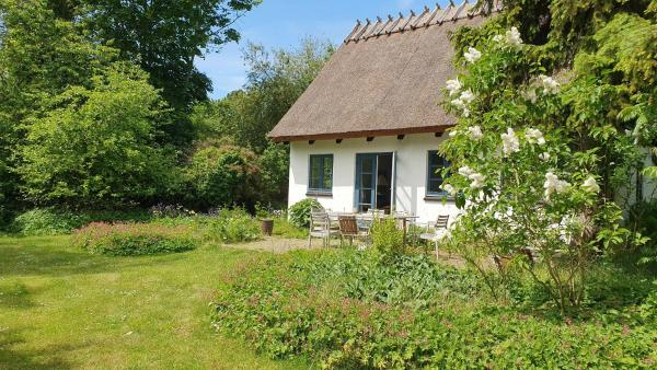 A la foto es mostra l'objecte Colour Joy In Thatched House Of The North Coast situat a la ciutat de Hundested.