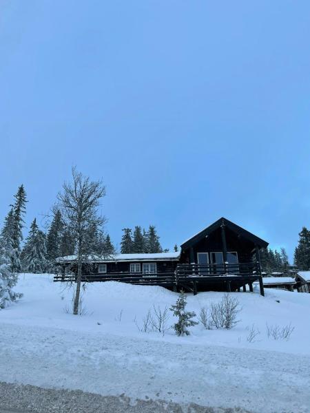 写真にはトリシル市にあるLog Cabin With Views Over Trysil Mountainが写っています。