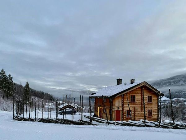 På bildet vises objektet Cabin With Wooden Interior By Lake Tinnsjøen som ligger i byen Atra.