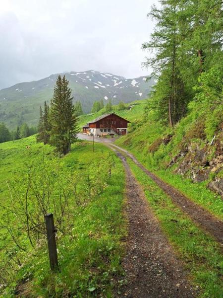 Tauernbergalm - Heiligenblut