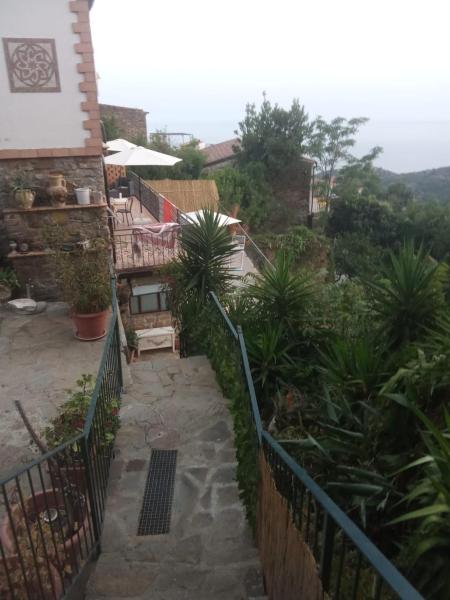 Foto 4: Irma2
