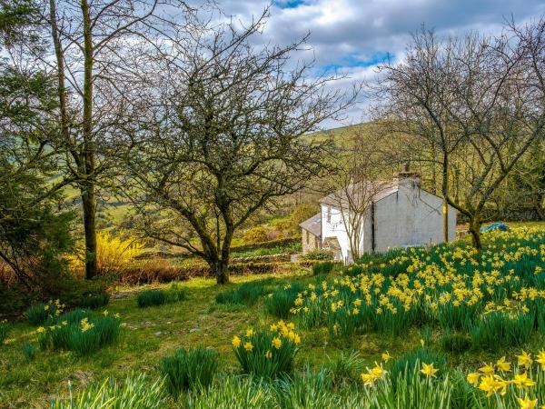 A la foto es mostra l'objecte Waingap Cottage situat a la ciutat de Crook.
