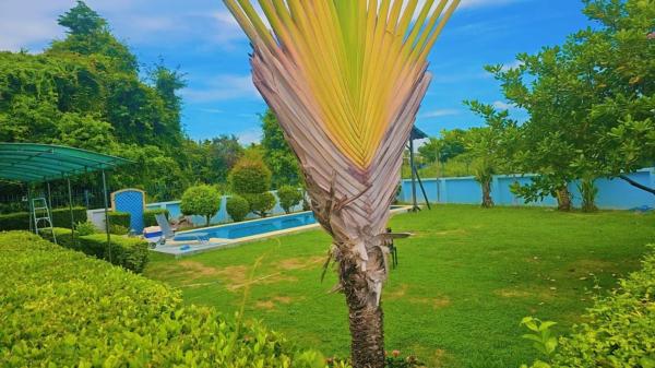 Pattaya Paradise Pool Villa With Garden 3br - Pattaya City