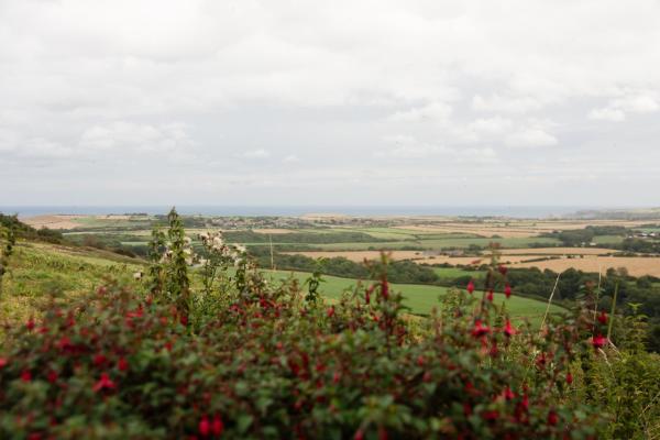 Billede 2: Rosecombe, Borrowby Farm Cottages