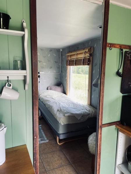 Photo 6 : Tinyhouse