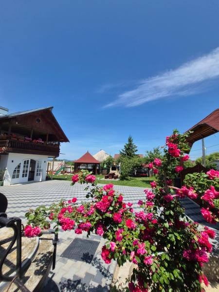 Casa Ilinca - Agapia