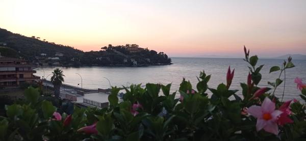 A la foto es mostra l'objecte La barca volante situat a la ciutat de Porto Santo Stefano.