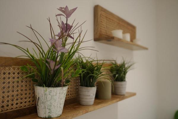 Foto 5: Studio with Private Entrance - 8A