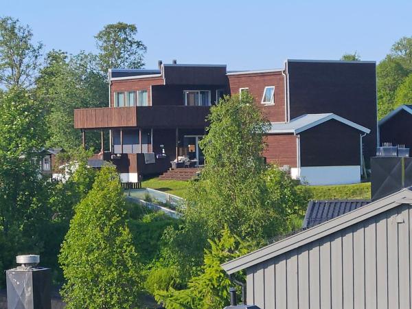 A la foto es mostra l'objecte LØVEHAUGEn situat a la ciutat de Tromsdalen.