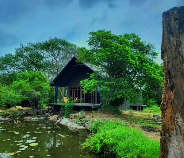 Turtle Pond Wilpattu - 스리랑카