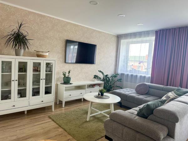 A la foto es mostra l'objecte Middle street apartment situat a la ciutat de Alūksne.
