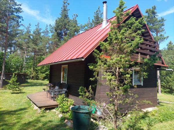 Sinilille Suvemaja Saunaga - Estland